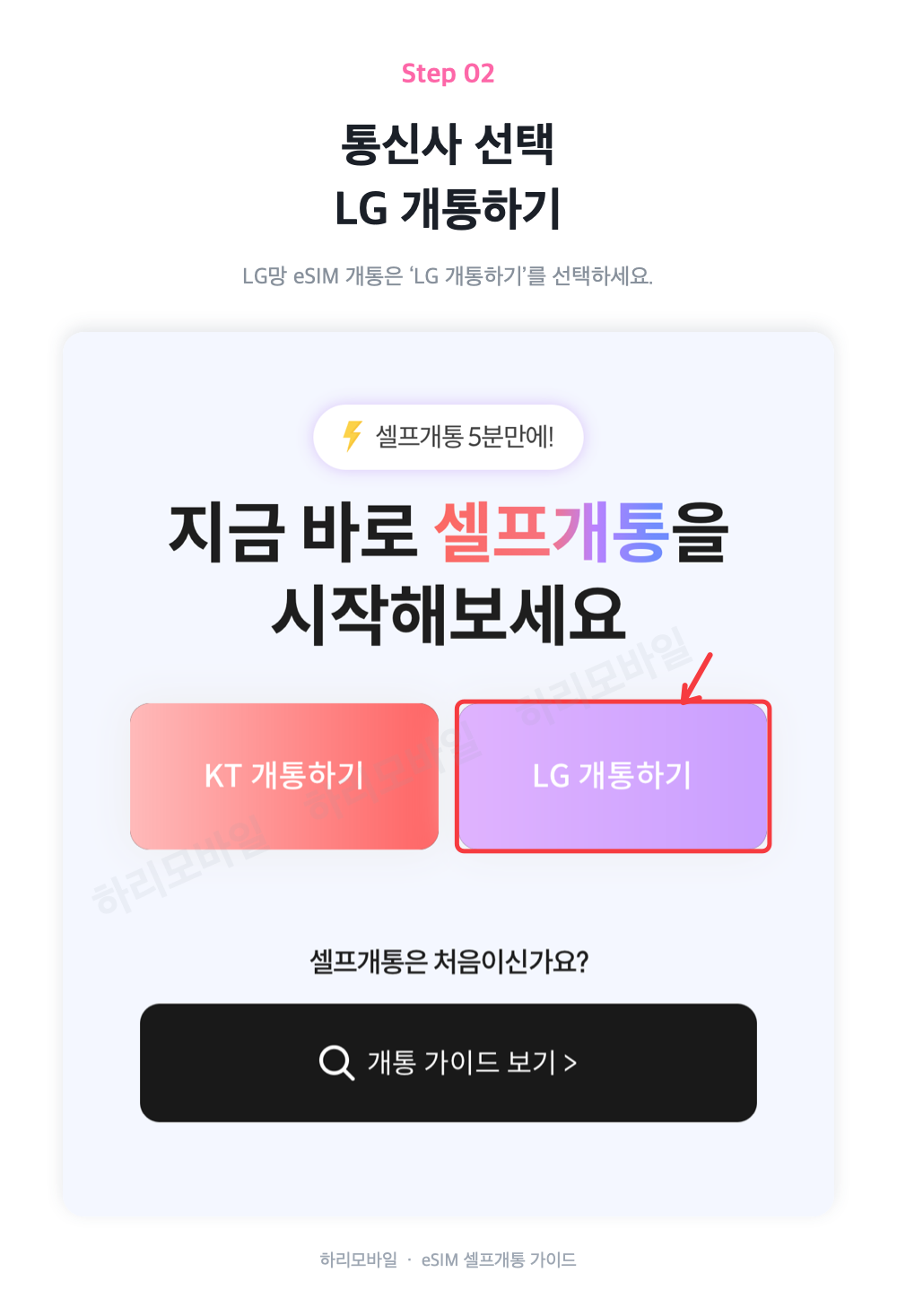 LG망 선택 안내 화면