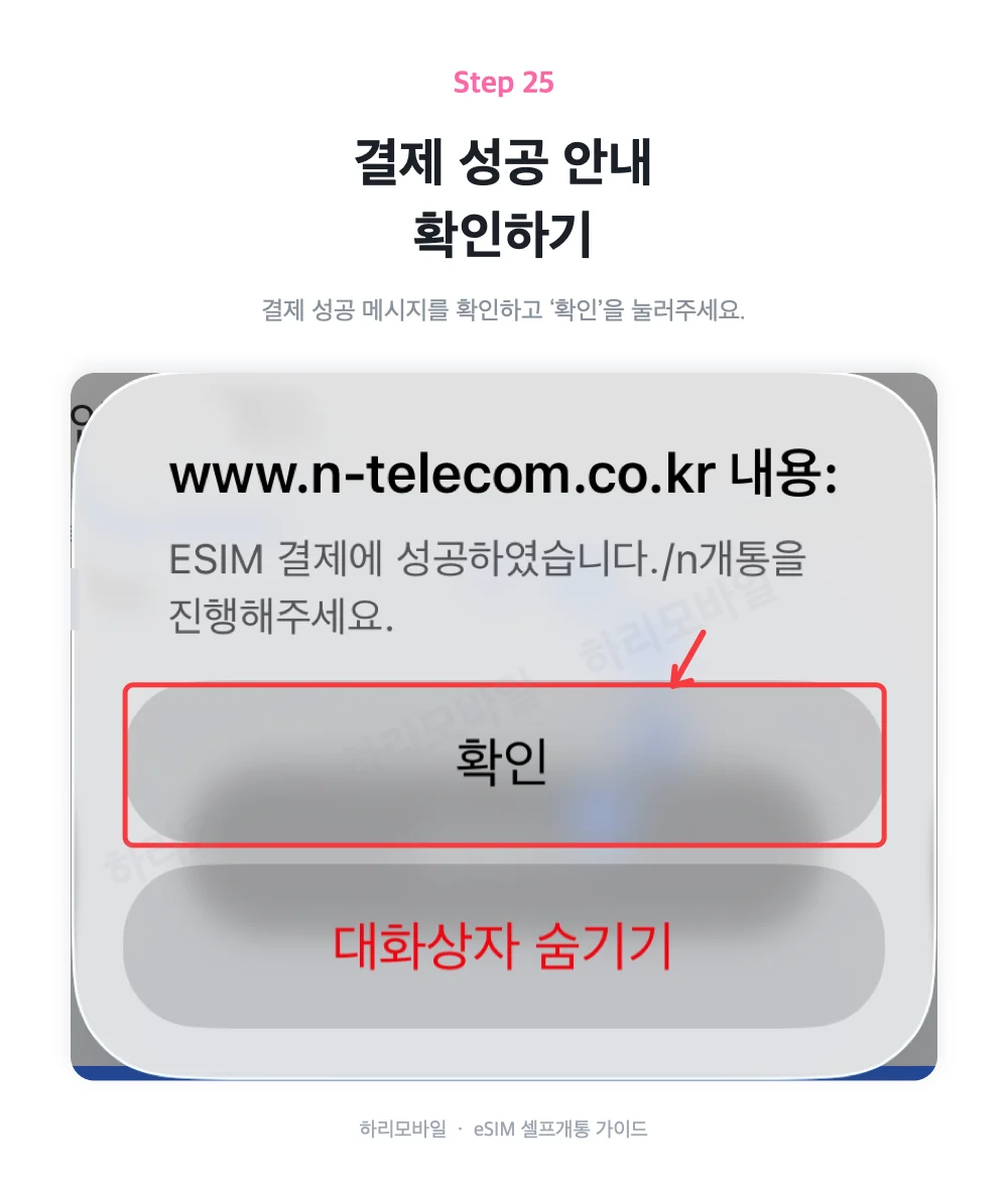 eSIM 발급비 결제 성공 안내를 확인하는 화면